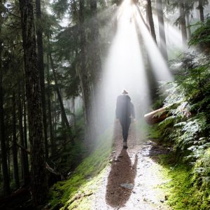 Bug-out-plan-The-Complete-Guide-to-Survival-Preparedness-and-Strategic-Evacuation