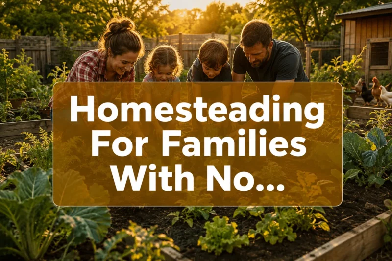Family Homesteading Made Easy: From Backyard Gardens to Chickens